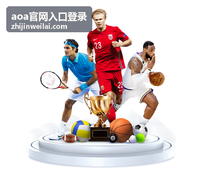 aoa官网入口登录浏览器兼容与缓存清理